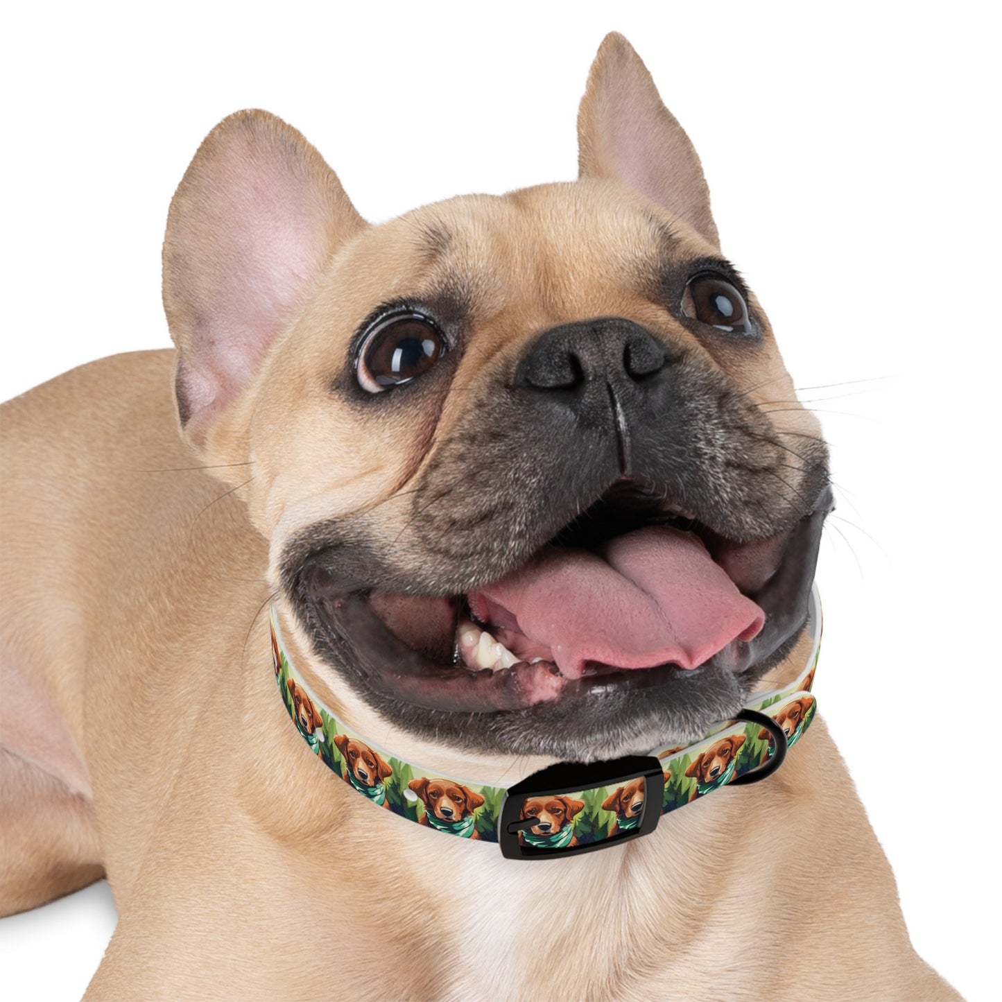 Personalized Small Dog Collar